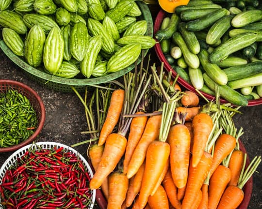 Packaging & Branding Solutions